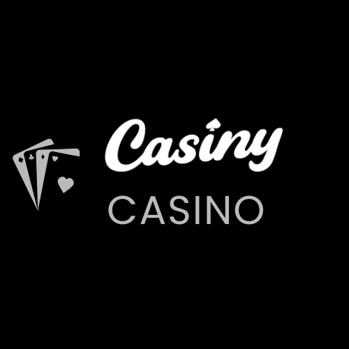 Secure Your Experience with Casiny Login