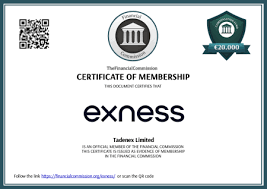 Understanding Why Your Exness Withdrawal Was Rejected 0
